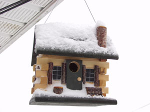 bird-house-snow