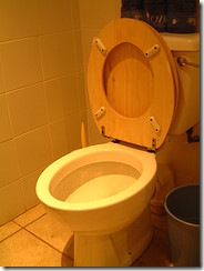 open-toilet