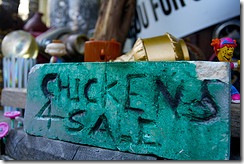 chickens-for-sale